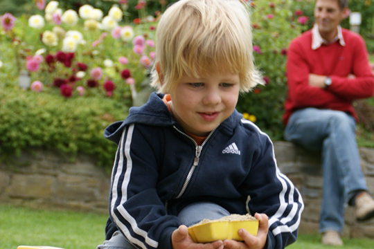 bild01