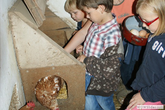 bild03