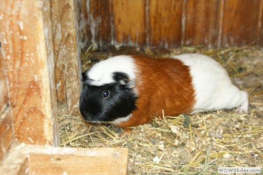 bild04