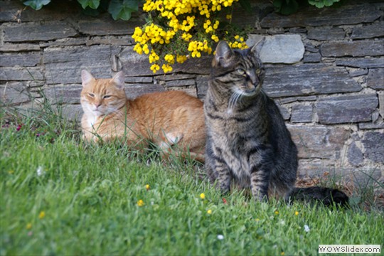 bild19