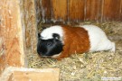 bild04