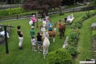 bild10