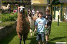 bild14