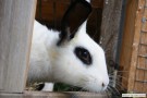 bild15