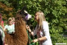 bild17