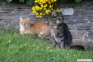 bild19